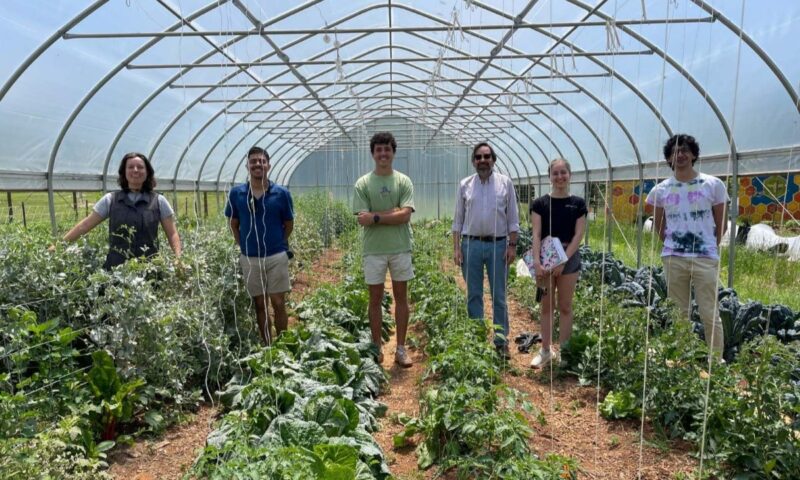 Students visit the Morven Farm kitchen garden