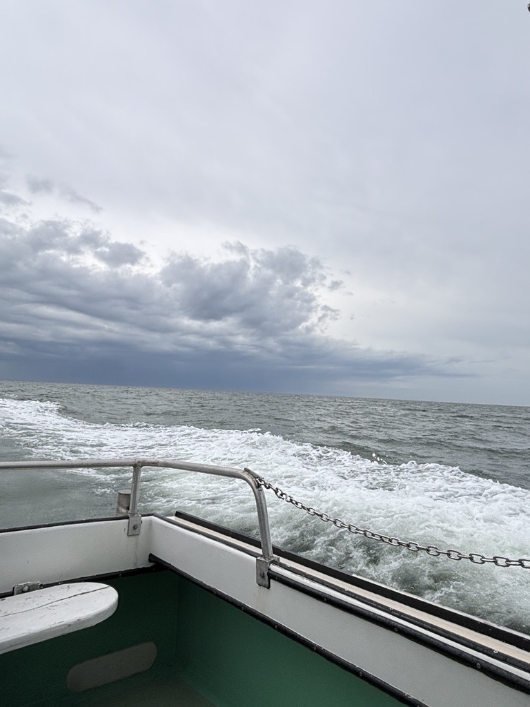 wake trailing behind a boat moving across the water